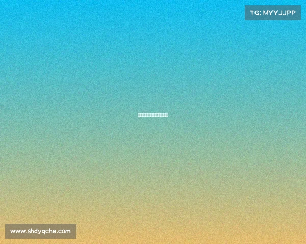 《虚拟战场上的真实荣耀》